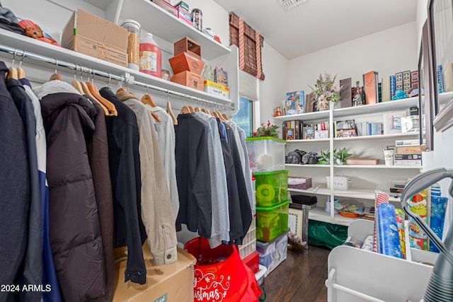 spacious closet with dark wood-type flooring