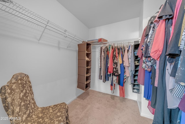 23693 W Grove St, Buckeye, AZ 85326 - spacious closet with carpet floors