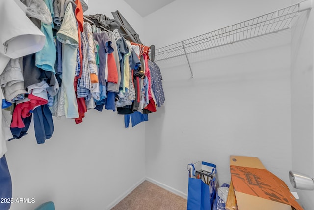 23693 W Grove St, Buckeye, AZ 85326 - walk in closet with carpet floors