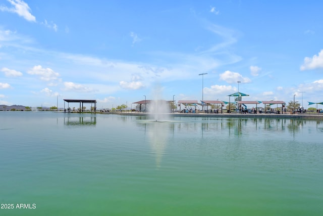 23693 W Grove St, Buckeye, AZ 85326 - water view