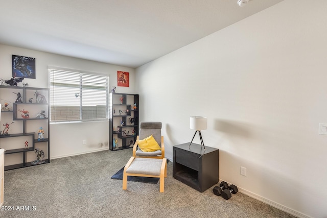 sitting room featuring carpet flooring