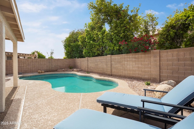 6366 W Saint John Ave, Glendale, AZ 85308 - view of swimming pool featuring a patio and a fenced backyard