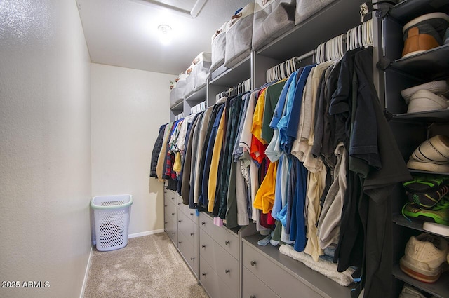 3203 W Libby St, Phoenix, AZ 85053 - spacious closet featuring light colored carpet