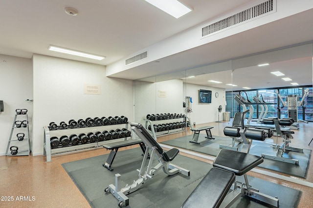 workout area featuring expansive windows