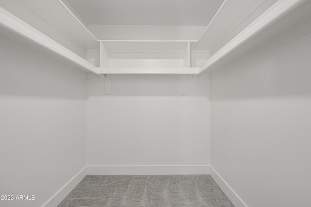 walk in closet featuring carpet floors