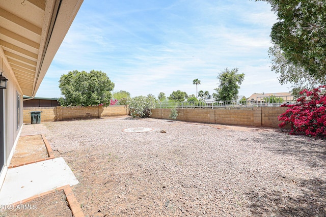 view of yard with a patio