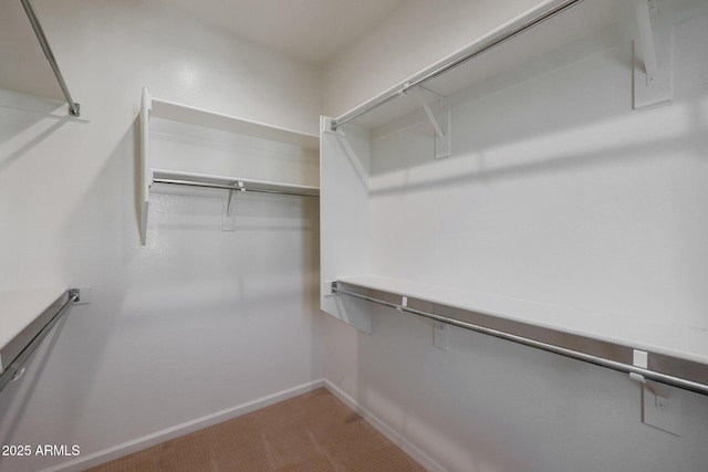 spacious closet with carpet flooring