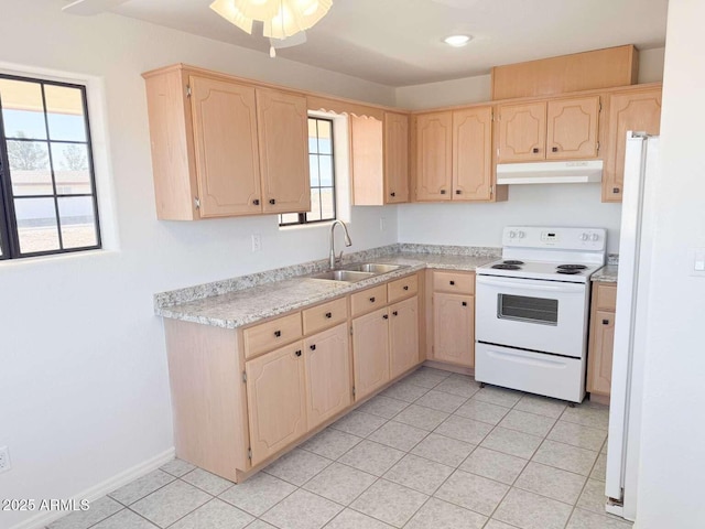 kitchen featuring a healthy amount of sunlight, white appliances, sink, and light brown cabinetry