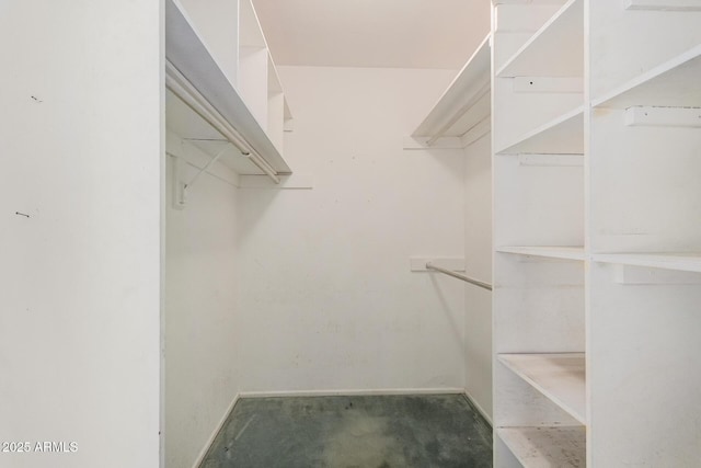 view of walk in closet