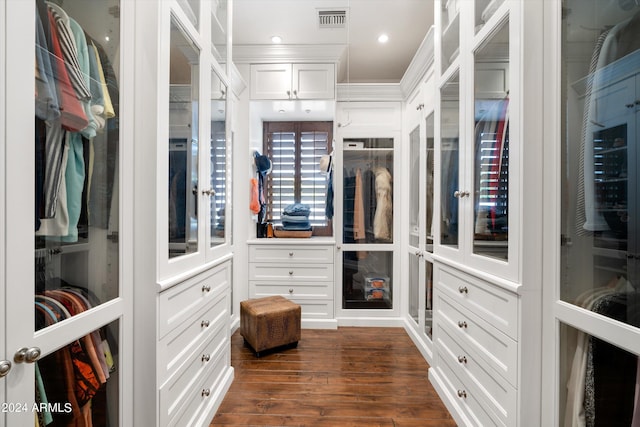 walk in closet featuring dark hardwood / wood-style flooring