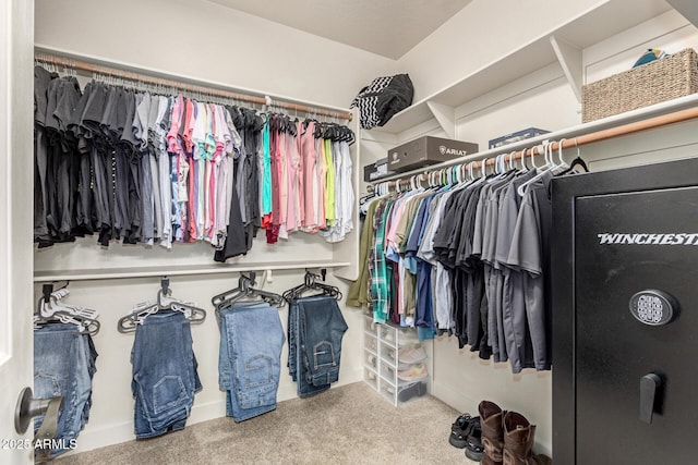 157 N 110th Ave, Avondale, AZ 85323 - spacious closet featuring carpet flooring