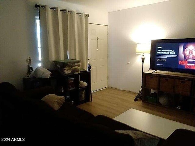 living room featuring hardwood / wood-style flooring