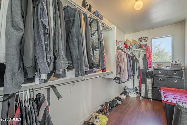 walk in closet with dark wood-type flooring