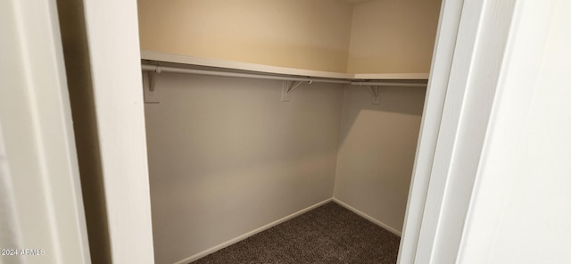 spacious closet with carpet flooring