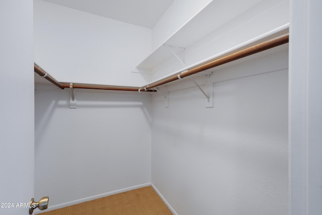 walk in closet with carpet floors