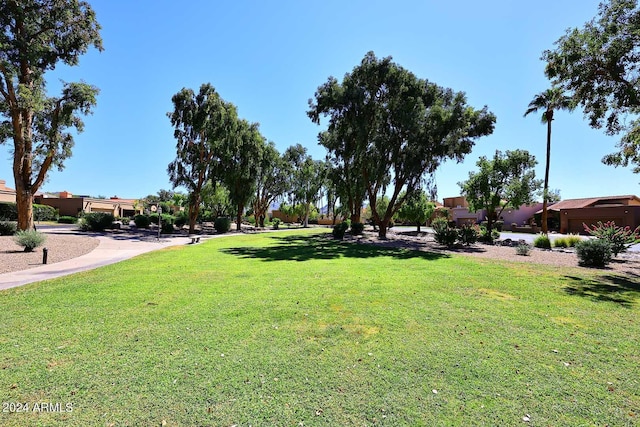 23014 N 86th St, Scottsdale, AZ 85255 - view of community featuring a lawn