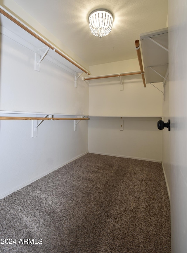 spacious closet with carpet flooring