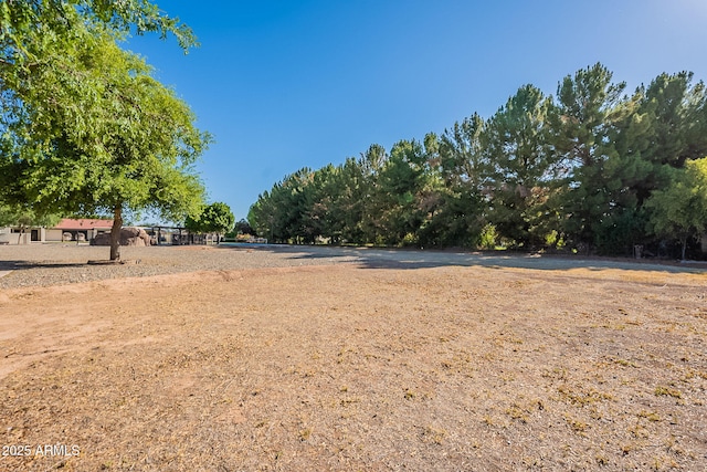 2724 W Colt Rd, Chandler, AZ 85224 - view of yard