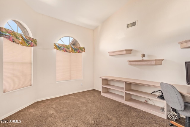 251 E Arabian Dr, Gilbert, AZ 85296 - office area with carpet, lofted ceiling, and baseboards