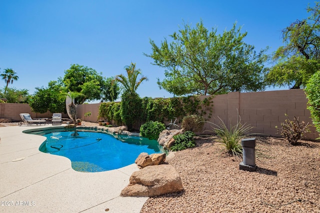 251 E Arabian Dr, Gilbert, AZ 85296 - view of pool with a fenced backyard and a patio