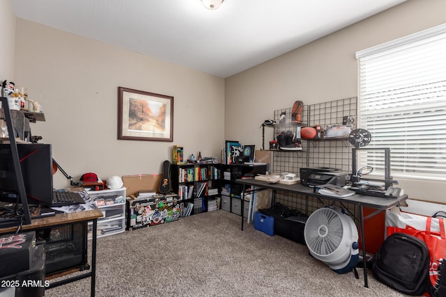 view of carpeted home office