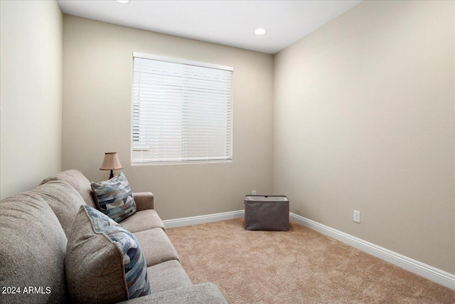 living room with light colored carpet