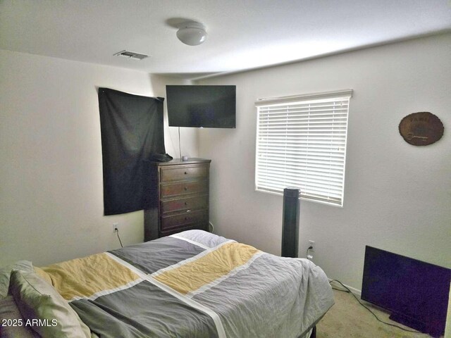 44583 W Sandstone Dr, Maricopa, AZ 85139 - view of carpeted bedroom