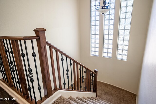 staircase featuring carpet