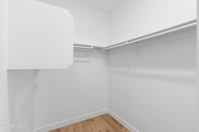 spacious closet featuring wood-type flooring