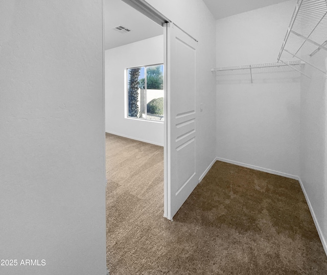 walk in closet featuring carpet floors