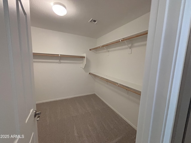 18629 W Fulton St, Goodyear, AZ 85338 - spacious closet with dark carpet