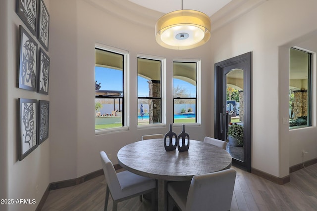 dining area featuring dark wood-type flooring