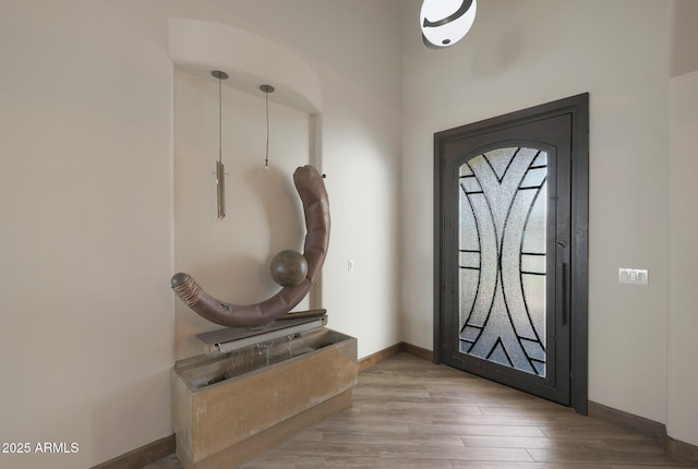 entrance foyer featuring hardwood / wood-style flooring