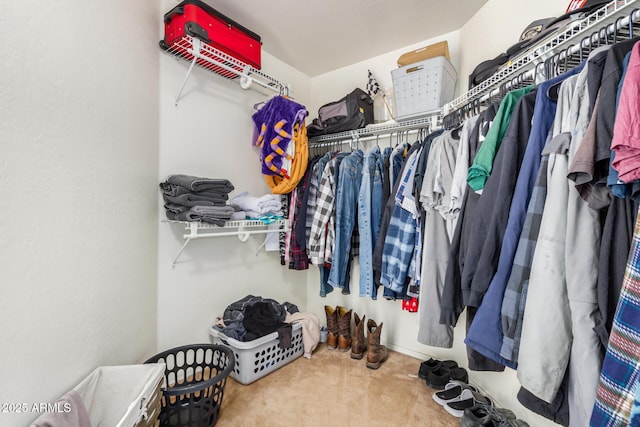 spacious closet featuring carpet flooring