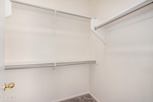 1501 S 122nd Ave, Avondale, AZ 85323 - walk in closet featuring carpet floors