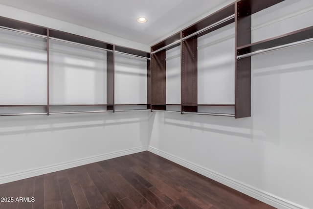 spacious closet with dark wood-style floors