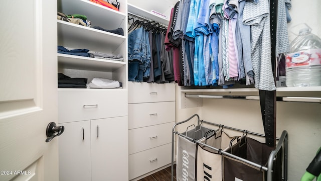 spacious closet featuring dark hardwood / wood-style flooring