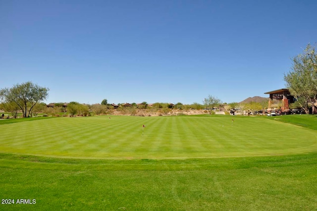 view of community with a yard