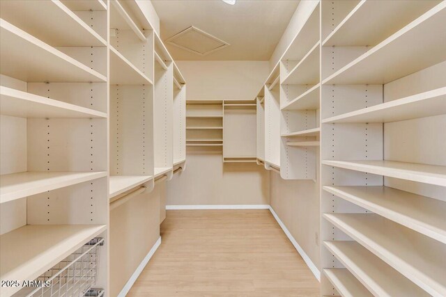 spacious closet featuring attic access and wood finished floors