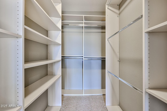 walk in closet featuring carpet
