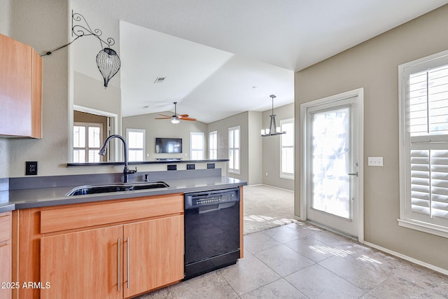 kitchen with a sink, black dishwasher, a healthy amount of sunlight, and ceiling fan with notable chandelier