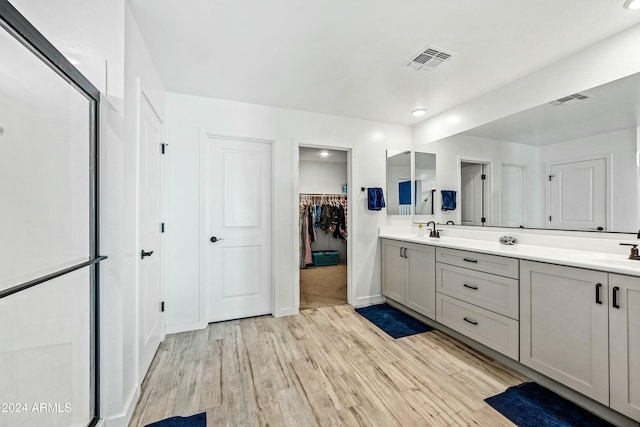 bathroom with hardwood / wood-style floors and vanity