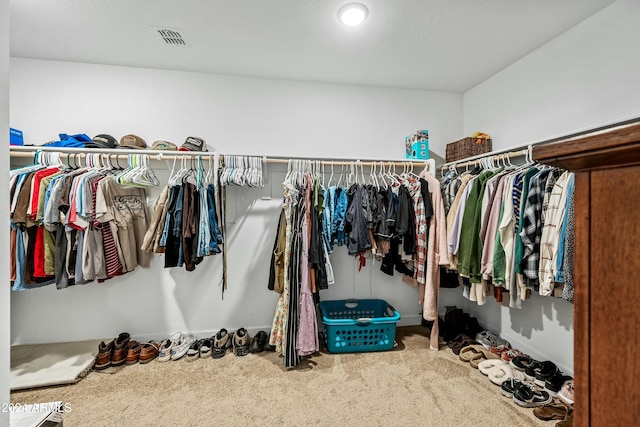 spacious closet with carpet