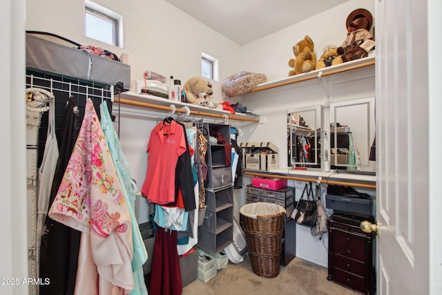 spacious closet featuring carpet flooring