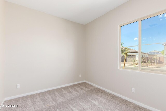 walk in closet with light colored carpet