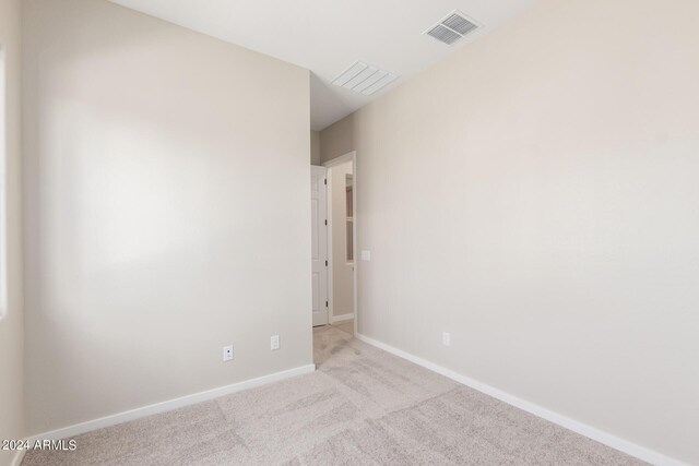 spacious closet with light carpet