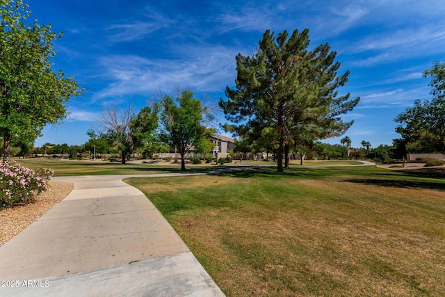7231 W Lone Cactus Dr, Glendale, AZ 85308 - surrounding community with a yard