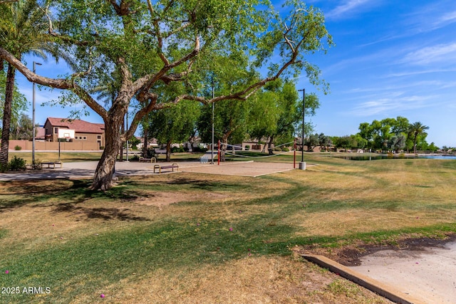 7231 W Lone Cactus Dr, Glendale, AZ 85308 - view of home's community featuring volleyball court and a lawn