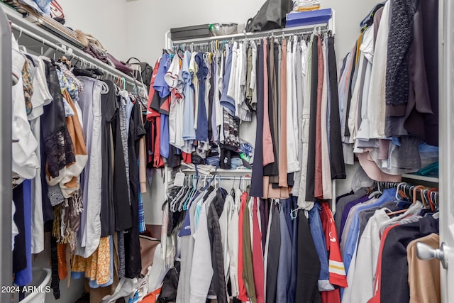 view of spacious closet