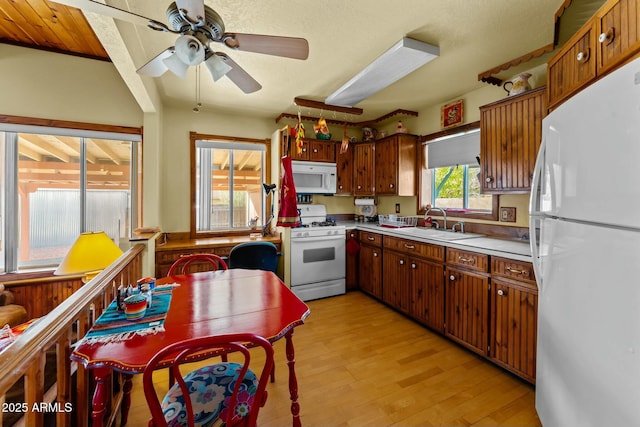 kitchen with ceiling fan, white appliances, a sink, light wood-style floors, and light countertops